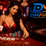 DmFirst