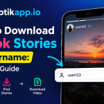 Download TikTok Stories