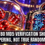 Sic Bo MD5 Verification